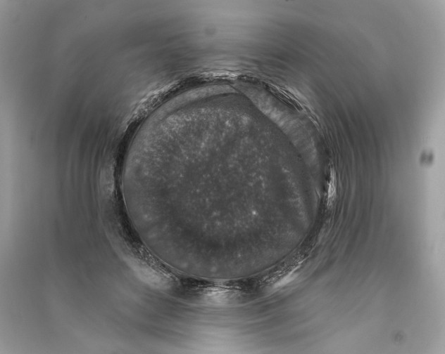 X0000090730504200708101643