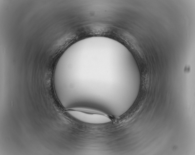 X0000090730505200708101643