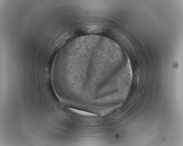 X0000090730506200708101643