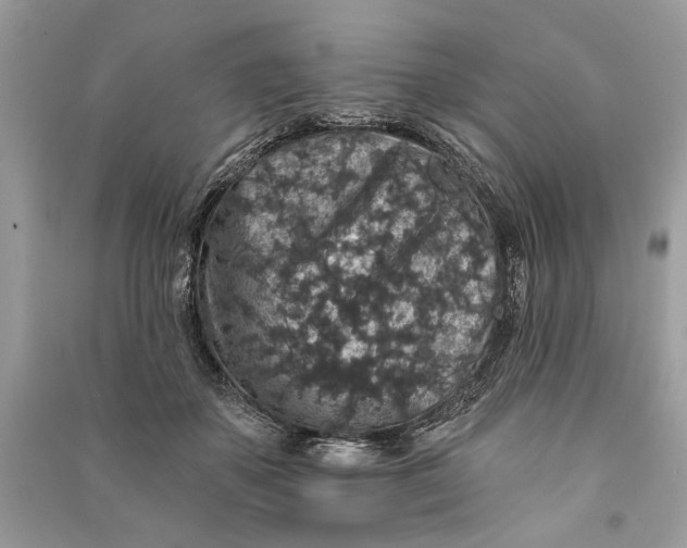 X0000090730507200708101643