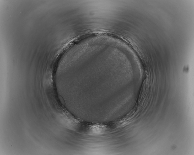 X0000090730508200708101643