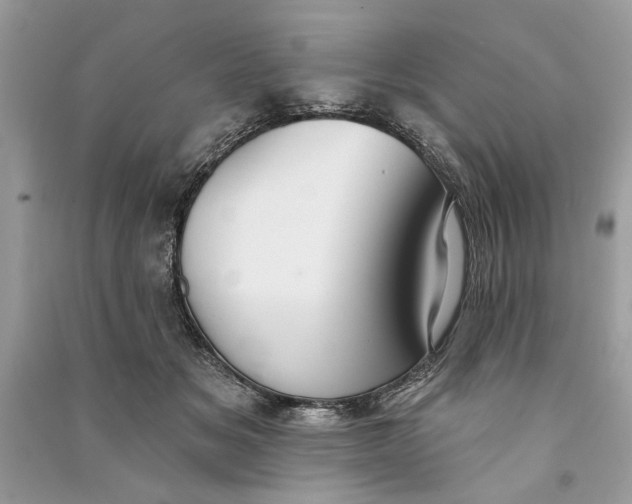 X0000090730509200708101643