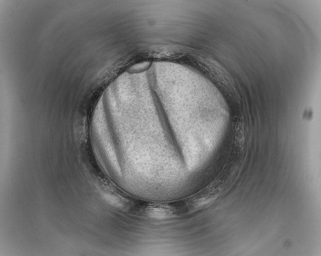 X0000090730510200708101643