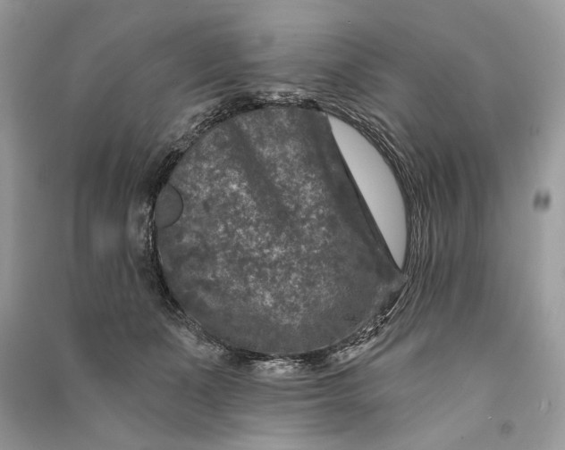 X0000090730511200708101643