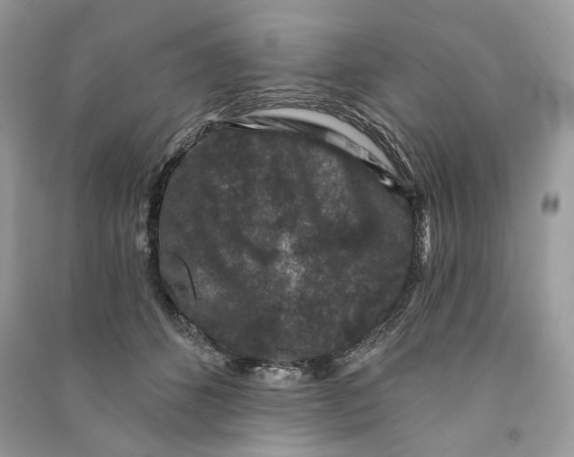 X0000090730512200708101643