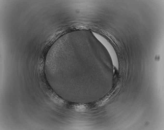 X0000090730513200708101643