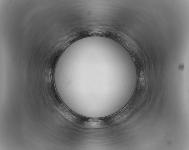 X0000090730514200708101643