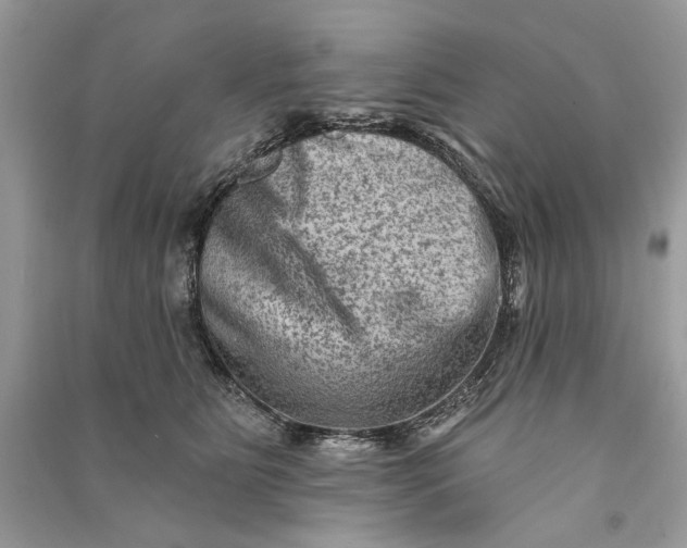 X0000090730515200708101643