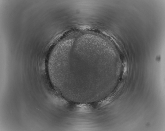 X0000090730516200708101643