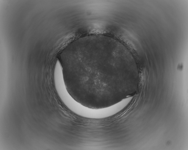 X0000090730517200708101643