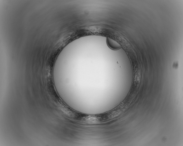 X0000090730518200708101643