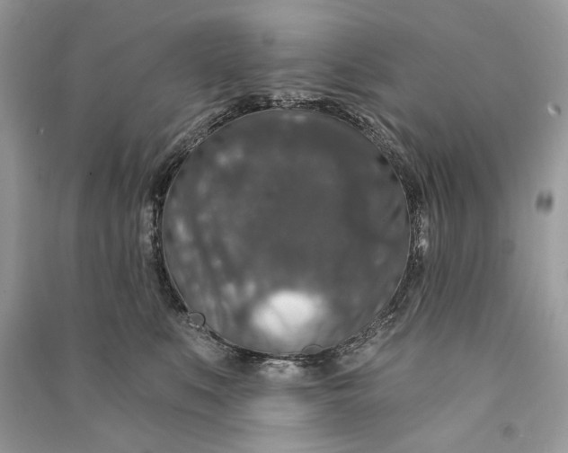 X0000090730519200708101643