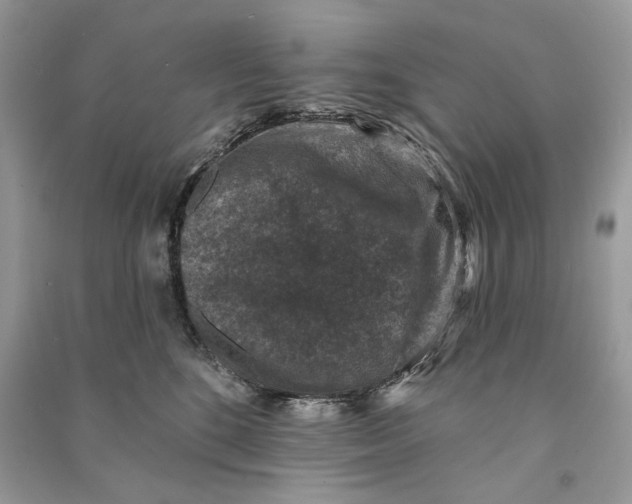 X0000090730520200708101643