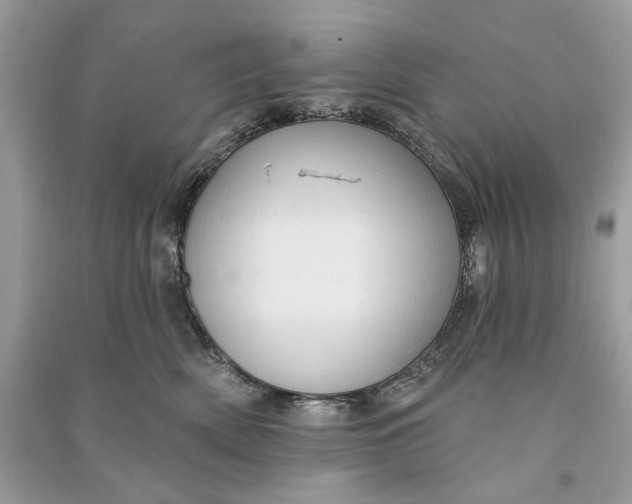 X0000090730522200708101643