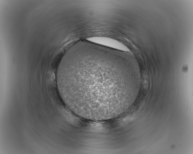 X0000090730523200708101643