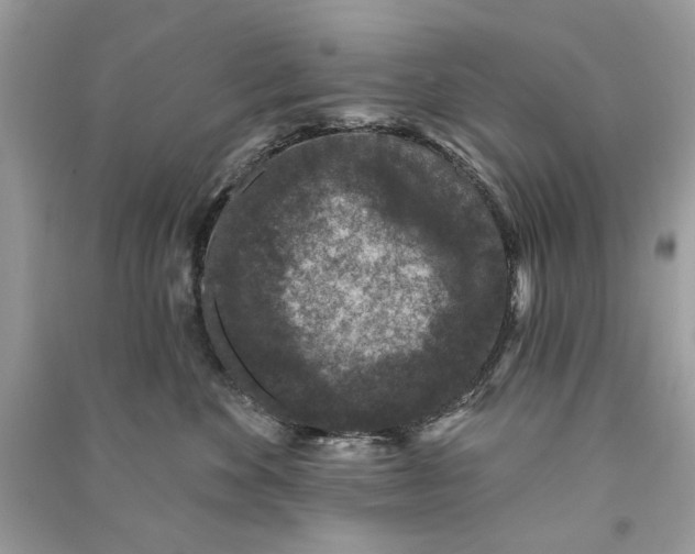 X0000090730524200708101643