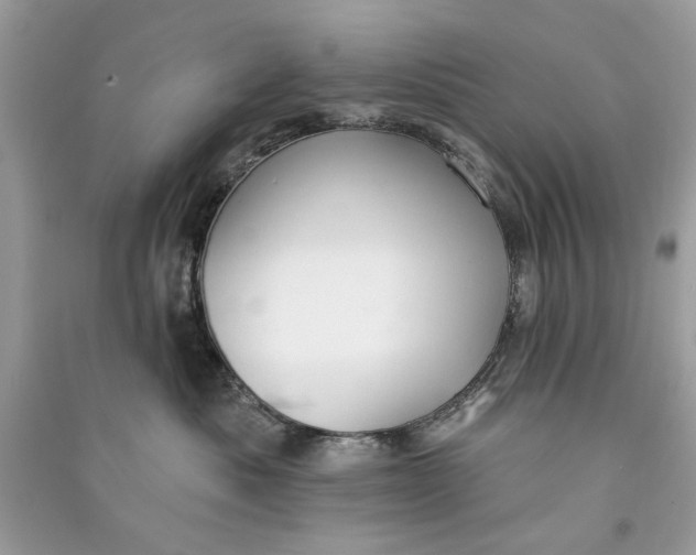 X0000090730525200708101643