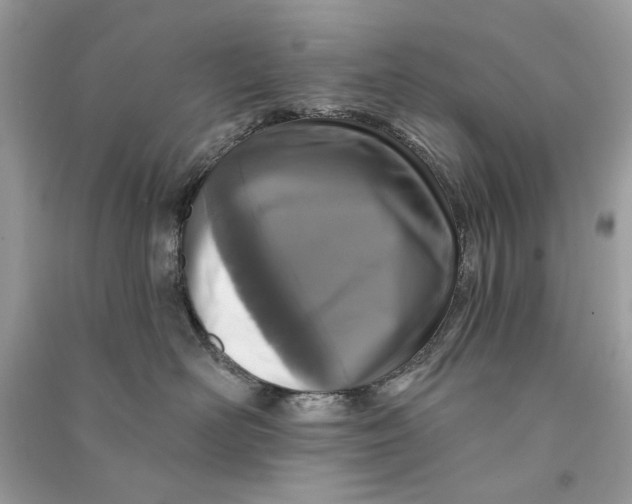 X0000090730526200708101643