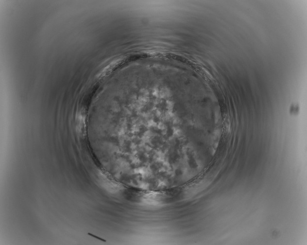 X0000090730527200708101643