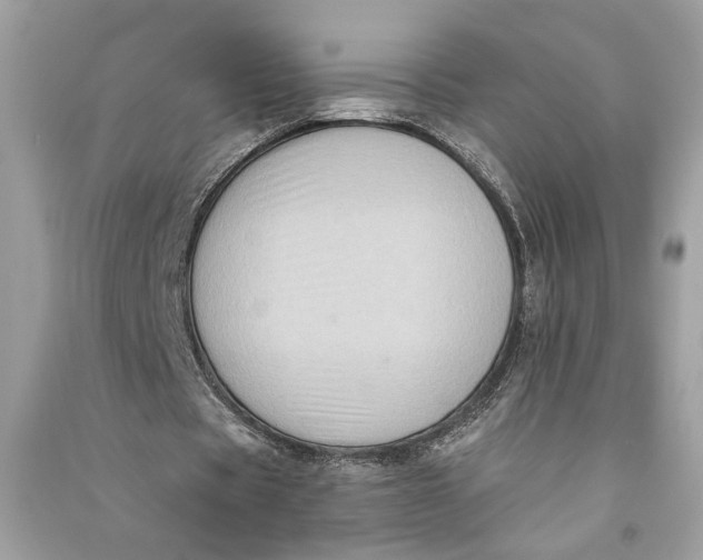 X0000090730529200708101642