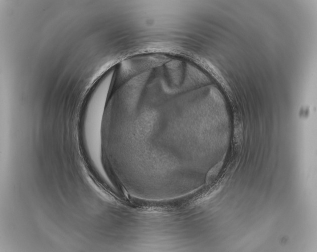 X0000090730530200708101642