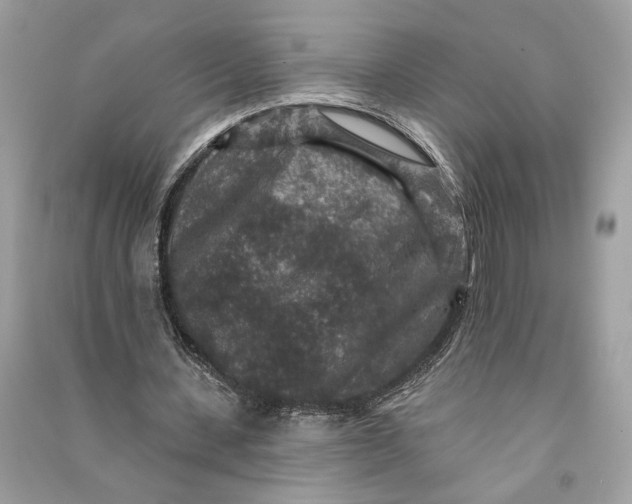 X0000090730531200708101642