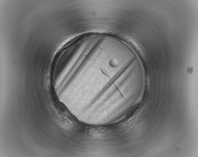 X0000090730532200708101642