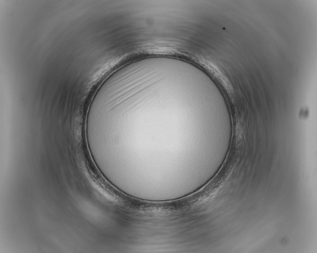 X0000090730533200708101642