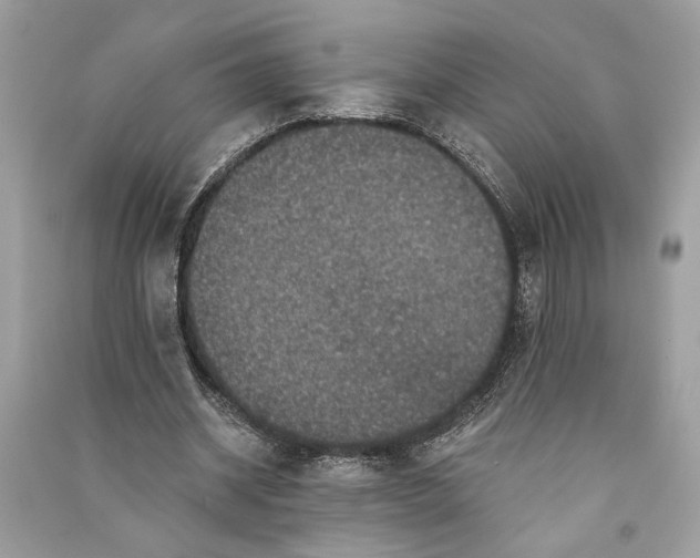 X0000090730534200708101642