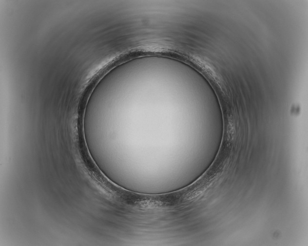 X0000090730535200708101642