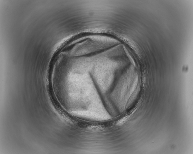 X0000090730536200708101642