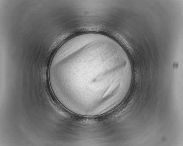 X0000090730537200708101642