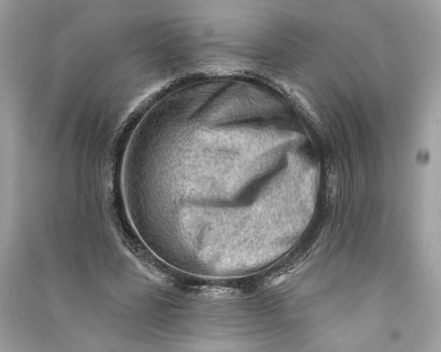 X0000090730539200708101642