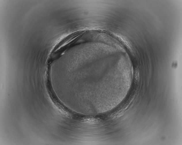 X0000090730540200708101642