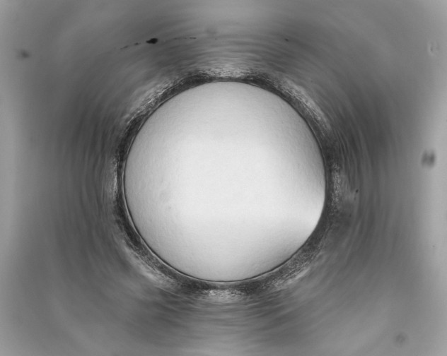 X0000090730541200708101642