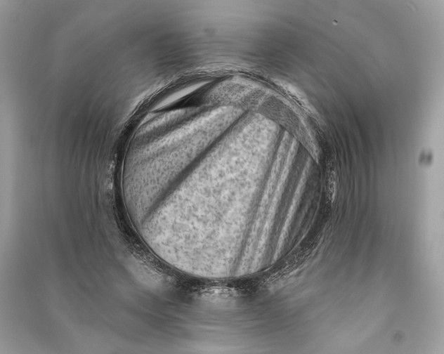 X0000090730543200708101642