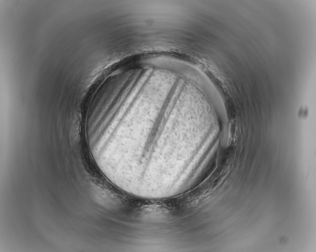 X0000090730544200708101642