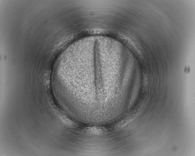 X0000090730545200708101642