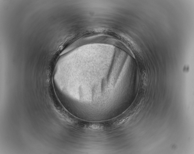 X0000090730546200708101642