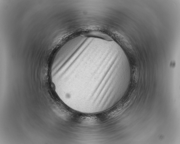 X0000090730548200708101642