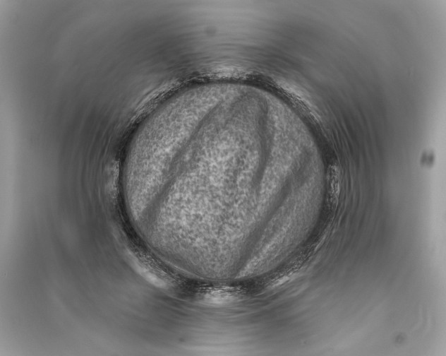 X0000090730550200708101642