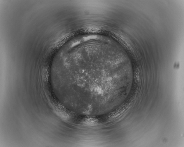 X0000090730551200708101642