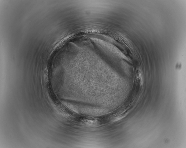 X0000090730552200708101642