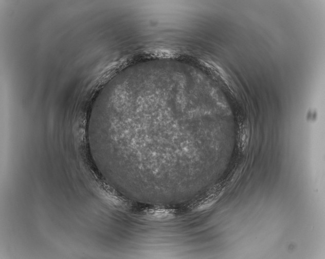 X0000090730553200708101642