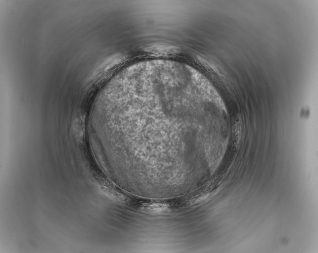 X0000090730554200708101642