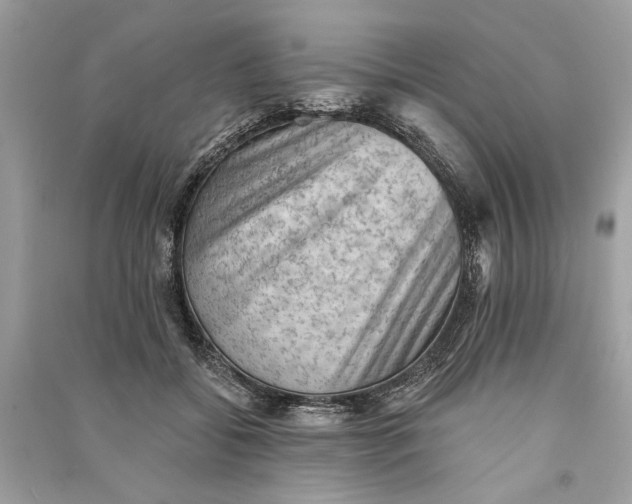 X0000090730556200708101642