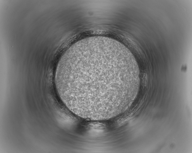 X0000090730557200708101642