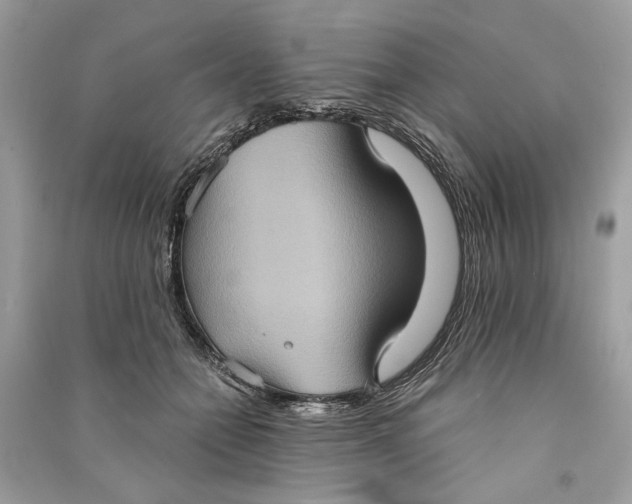 X0000090730558200708101642