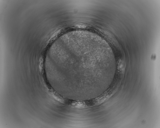 X0000090730559200708101642