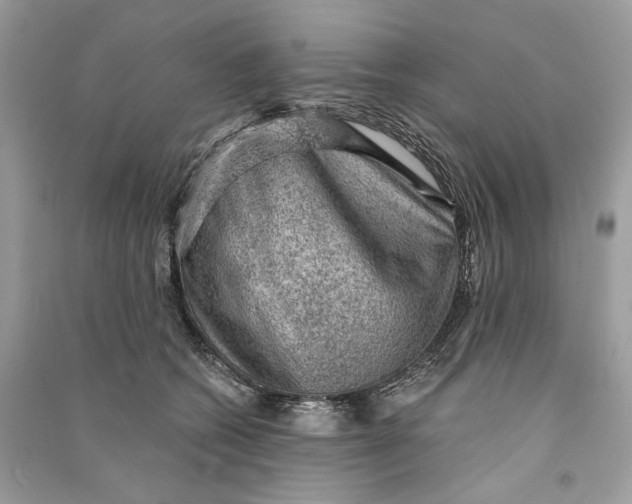 X0000090730562200708101642